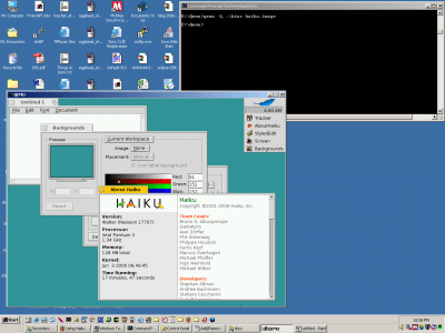 Screenshot of the application QEMU - #1