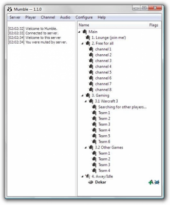 Screenshot of the application Mumble - #1