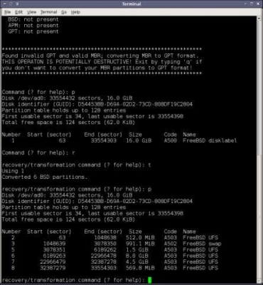 Screenshot of the application GPT fdisk - #1