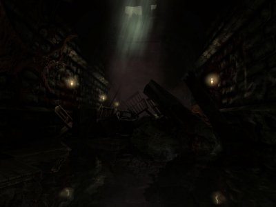 Screenshot of the application Amnesia: The Dark Descent - #5