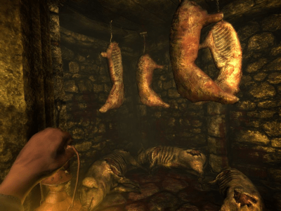 Screenshot of the application Amnesia: The Dark Descent - #8