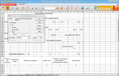 Screenshot of the application Excel Reader - #1