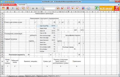Screenshot of the application Excel Reader - #3