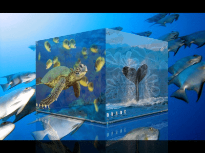 Screenshot of the application DeskSpace - #3