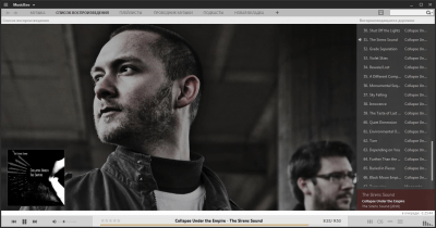Screenshot of the application MusicBee - #4