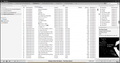 Screenshot of the application MusicBee - #5