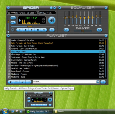 Screenshot of the application Spider Player - #1