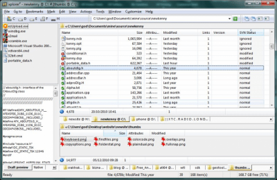 Screenshot of the application Xplorer2 - #4
