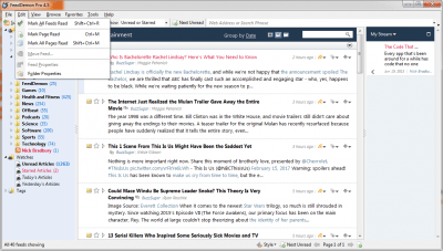 Screenshot of the application FeedDemon - #3