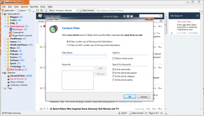 Screenshot of the application FeedDemon - #4