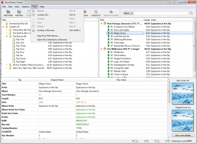 Screenshot of the application MusicBrainz Picard - #4