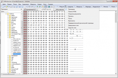 Screenshot of the application EmEditor - #3