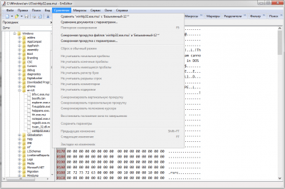 Screenshot of the application EmEditor Portable - #1