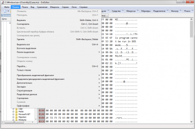 Screenshot of the application EmEditor Portable - #3