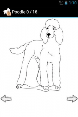 Screenshot of the application How to Draw Pets - #1