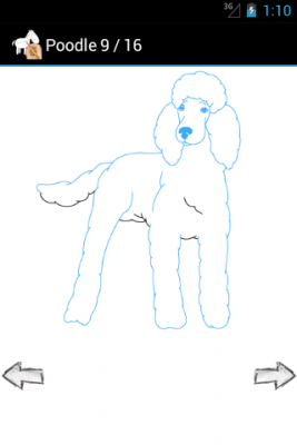Screenshot of the application How to Draw Pets - #3