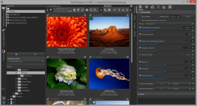 Screenshot of the application Raw Therapee - #6