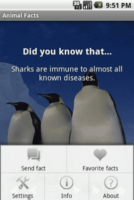 Screenshot of the application Animal Facts - #3