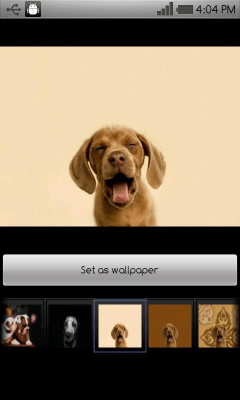 Screenshot of the application Beautiful dog wallpapers - #2