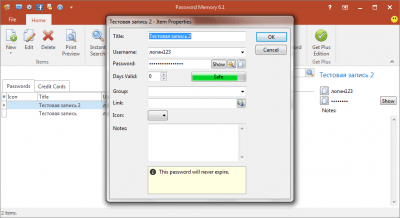 Screenshot of the application Password Memory - #4