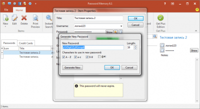 Screenshot of the application Password Memory - #5