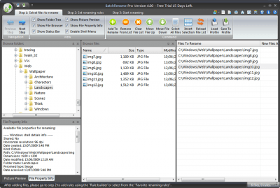Screenshot of the application BatchRename Pro - #4