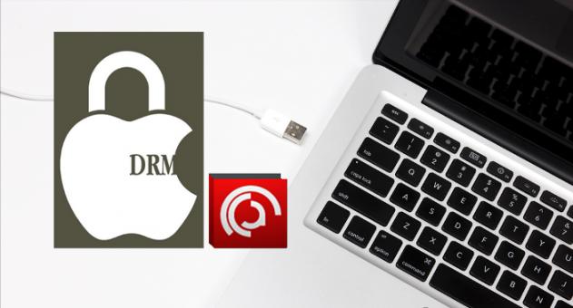 The Dark Side of DRM: What You Need to Know About Protection of Readers Today
